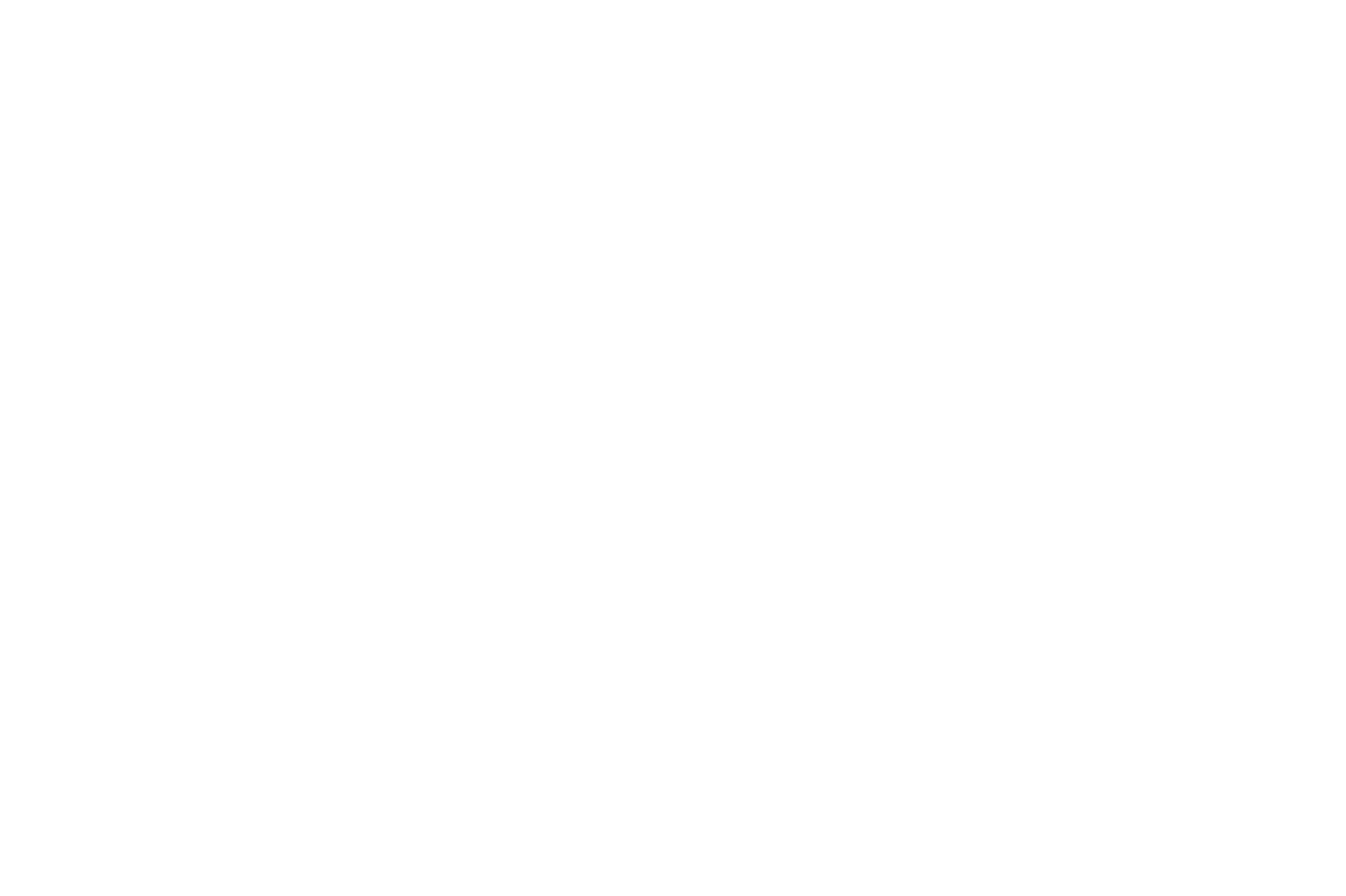 Freedom Labs background logo